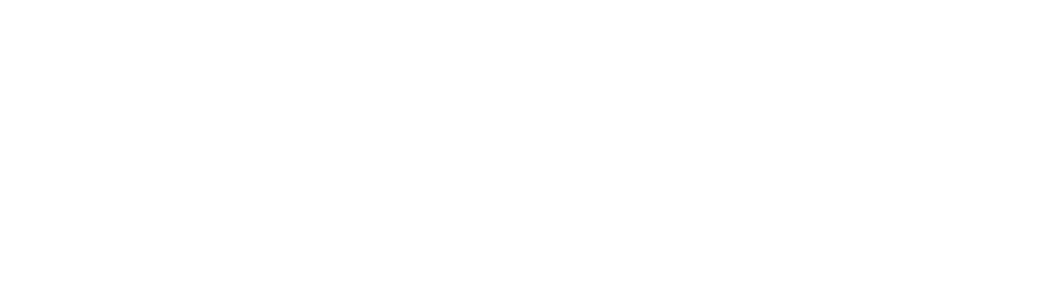 logo-jst